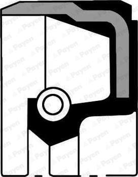 Payen NB807 - Bague d'étanchéité, arbre à cames droxauto.com