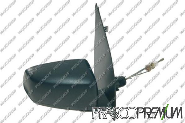 Prasco FT1227313P - Rétroviseur extérieur droxauto.com