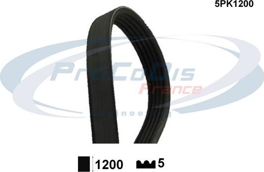 Procodis France 5PK1200 - Courroie trapézoïdale à nervures droxauto.com