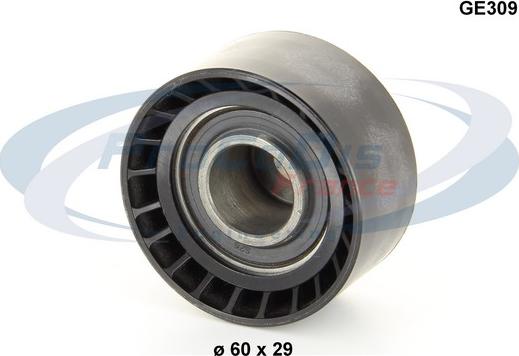 Procodis France GE309 - Poulie renvoi / transmission, courroie de distribution droxauto.com