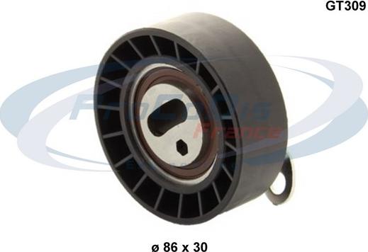 Procodis France GT309 - Poulie-tendeur, courroie de distribution droxauto.com