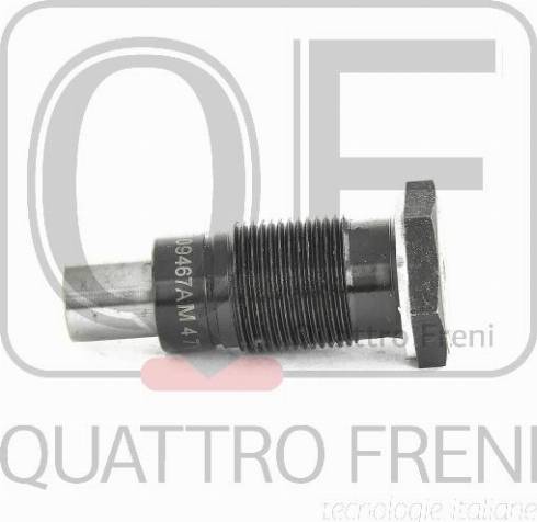 Quattro Freni QF83A00018 - Piston, tendeur de chaîne de distribution droxauto.com