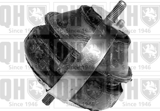 Quinton Hazell EM4038 - Support moteur droxauto.com