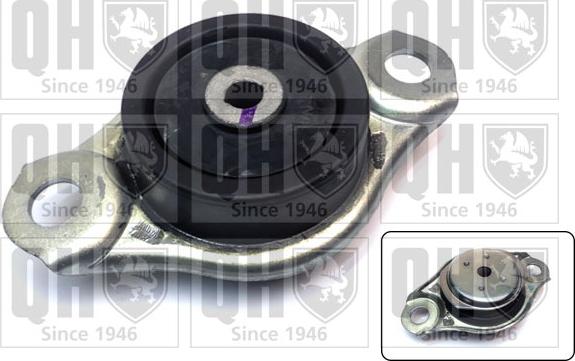 Quinton Hazell EM4779 - Support moteur droxauto.com