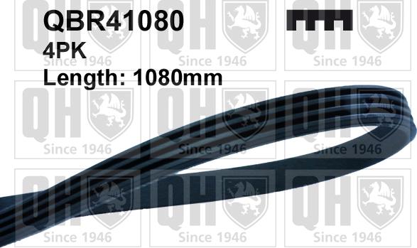 Quinton Hazell QBR41080 - Courroie trapézoïdale à nervures droxauto.com