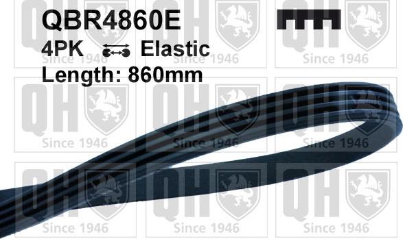 Quinton Hazell QBR4860E - Courroie trapézoïdale à nervures droxauto.com