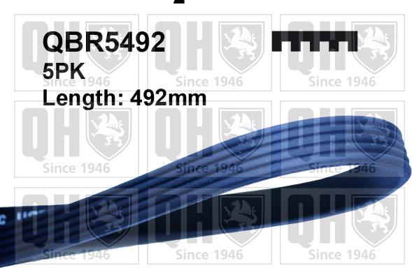 Quinton Hazell QBR5492 - Courroie trapézoïdale à nervures droxauto.com
