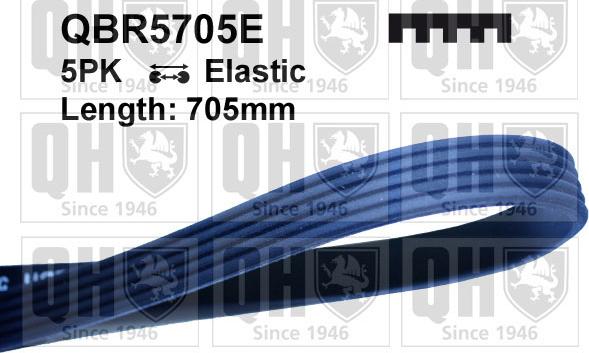Quinton Hazell QBR5705E - Courroie trapézoïdale à nervures droxauto.com