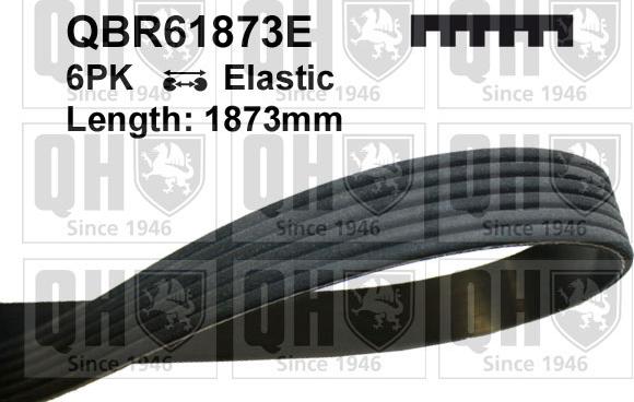 Quinton Hazell QBR61873E - Courroie trapézoïdale à nervures droxauto.com