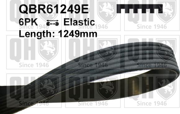 Quinton Hazell QBR61249E - Courroie trapézoïdale à nervures droxauto.com
