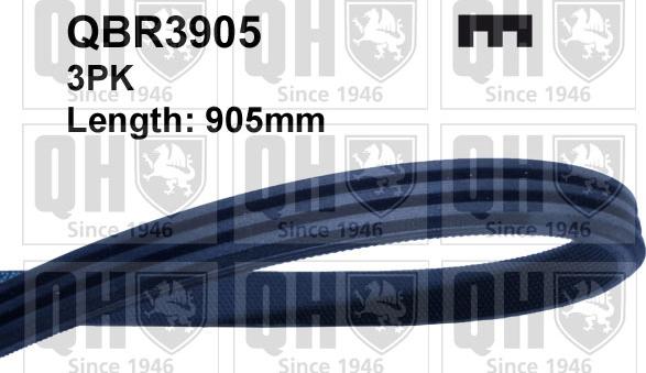 Quinton Hazell QBR3905 - Courroie trapézoïdale à nervures droxauto.com