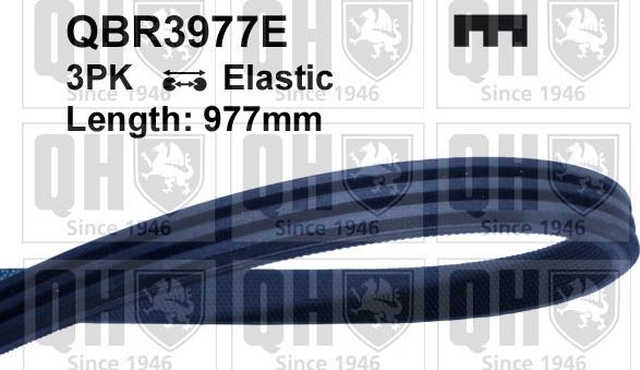 Quinton Hazell QBR3977E - Courroie trapézoïdale à nervures droxauto.com
