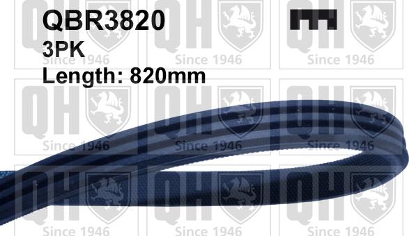 Quinton Hazell QBR3820 - Courroie trapézoïdale à nervures droxauto.com