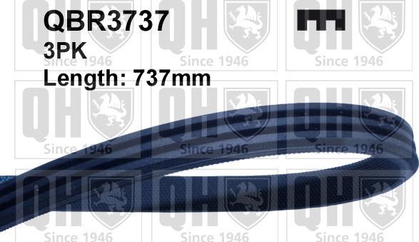 Quinton Hazell QBR3737 - Courroie trapézoïdale à nervures droxauto.com