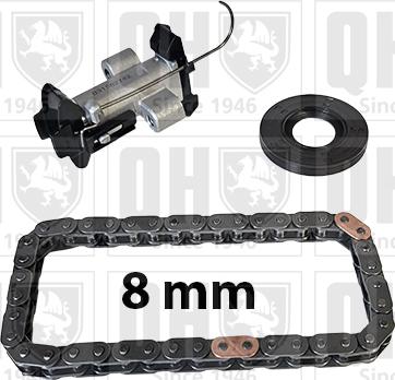 Quinton Hazell QCK135 - Kit de distribution par chaîne droxauto.com