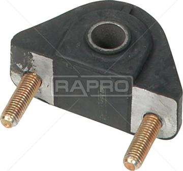 Rapro R59613 - Suspension, bras de liaison droxauto.com