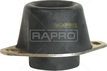 Rapro R59741 - Support moteur droxauto.com