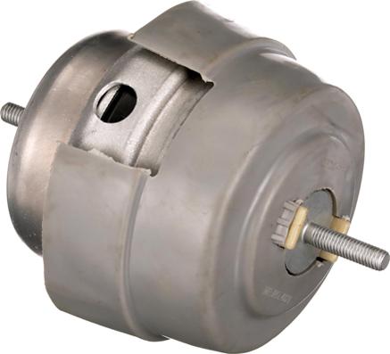 Rapro R55519 - Support moteur droxauto.com