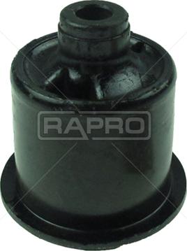 Rapro R51502 - Suspension, corps de l'essieu droxauto.com
