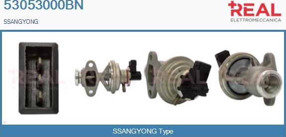 REAL 53053000BN - Vanne EGR droxauto.com