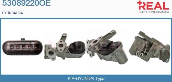 REAL 53089220OE - Vanne EGR droxauto.com