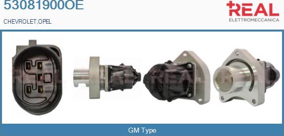 REAL 53081900OE - Vanne EGR droxauto.com