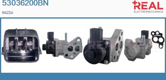 REAL 53036200BN - Vanne EGR droxauto.com