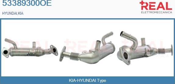 REAL 53389300OE - Radiateur, réaspiration des gaz d'échappement droxauto.com