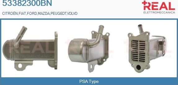 REAL 53382300BN - Radiateur, réaspiration des gaz d'échappement droxauto.com
