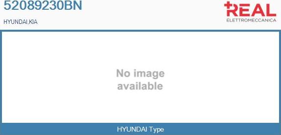 REAL 52089230BN - Turbocompresseur, suralimentation droxauto.com