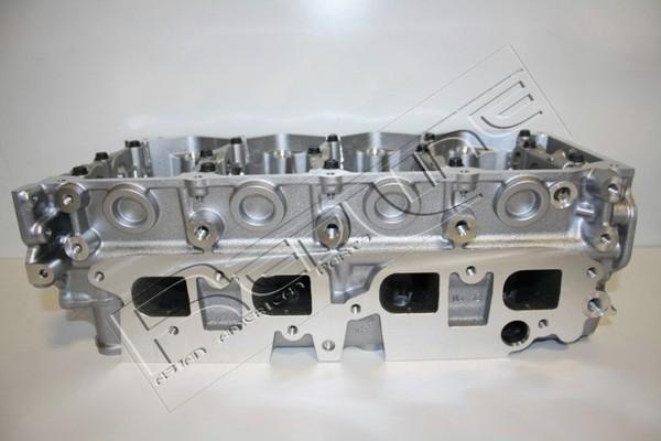 Red Line 21NI024 - Culasse de cylindre droxauto.com