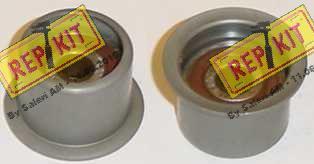 REPKIT RKT1144 - Poulie renvoi / transmission, courroie de distribution droxauto.com