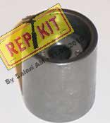 REPKIT RKT1864 - Poulie renvoi / transmission, courroie de distribution droxauto.com