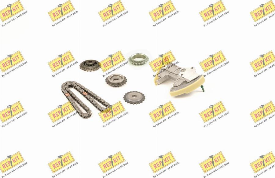 REPKIT RKT89114K - Kit de distribution par chaîne droxauto.com