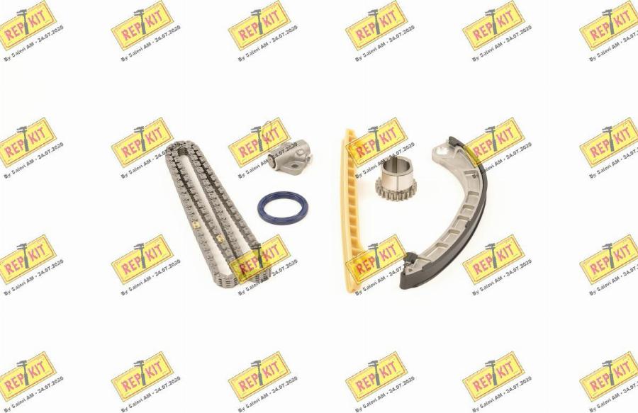 REPKIT RKT8925K - Kit de distribution par chaîne droxauto.com