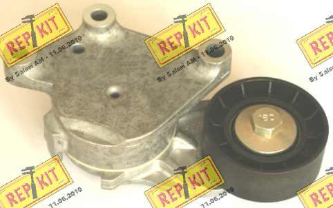 REPKIT RKT3125 - Poulie renvoi / transmission, courroie trapézoïdale à nervures droxauto.com