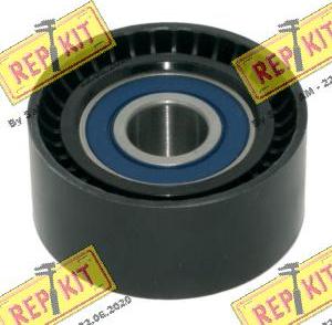REPKIT RKT3888 - Poulie renvoi / transmission, courroie de distribution droxauto.com
