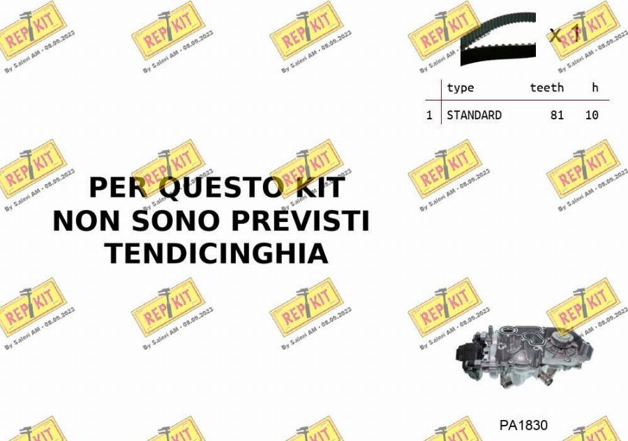 REPKIT RKTK0B06PA - Pompe à eau + kit de courroie de distribution droxauto.com