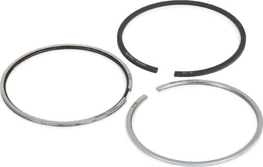 RIDEX 444P0002 - Jeu de segments de pistons droxauto.com