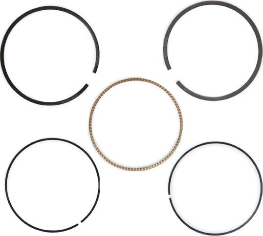 RIDEX 444P0100 - Jeu de segments de pistons droxauto.com