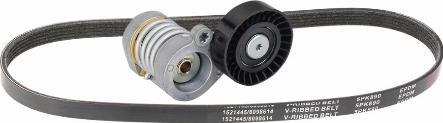 RIDEX 542R0914 - Jeu de courroies trapézoïdales à nervures droxauto.com