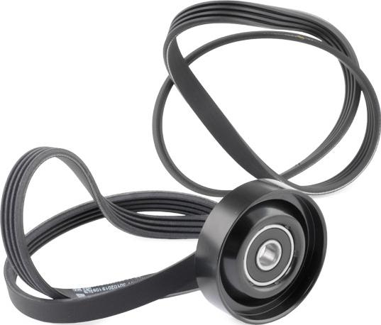 RIDEX 542R0425 - Jeu de courroies trapézoïdales à nervures droxauto.com