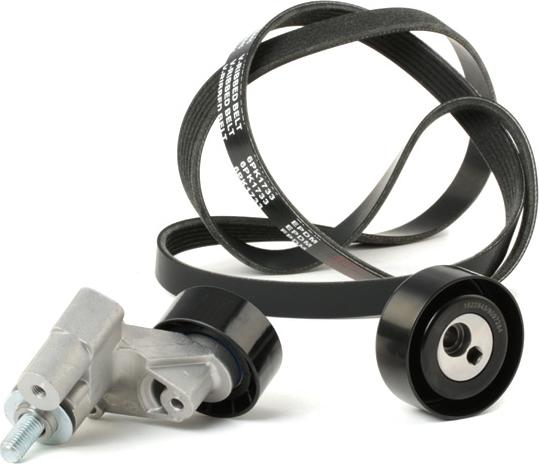 RIDEX 542R0698 - Jeu de courroies trapézoïdales à nervures droxauto.com