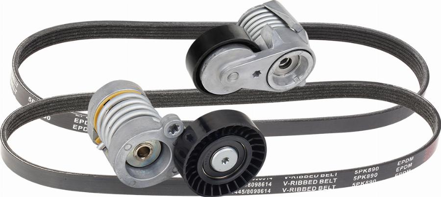 RIDEX 542R0164 - Jeu de courroies trapézoïdales à nervures droxauto.com