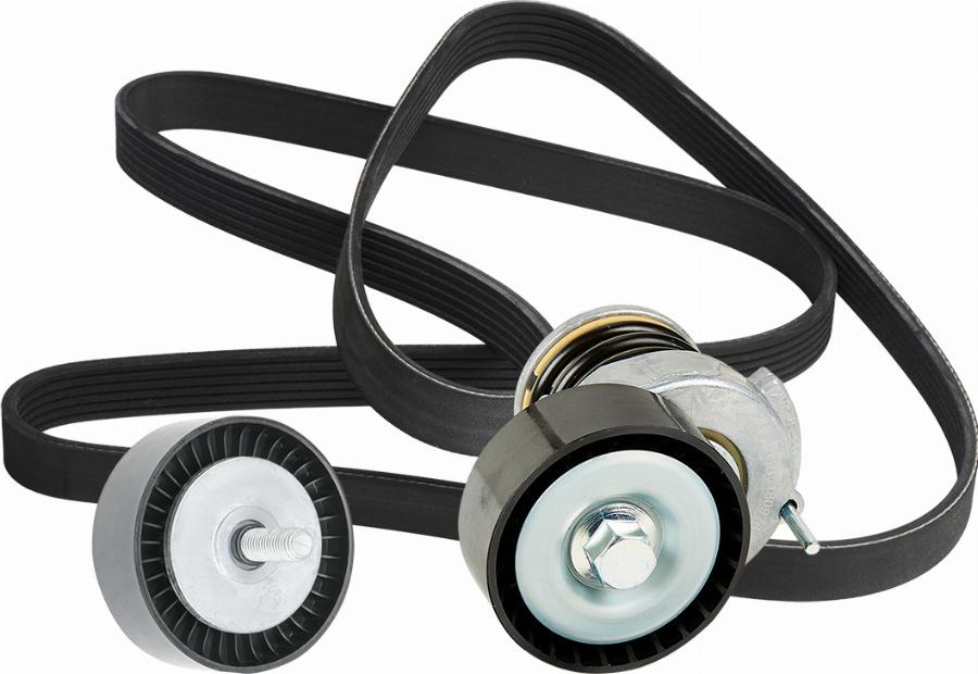 RIDEX 542R0352 - Jeu de courroies trapézoïdales à nervures droxauto.com