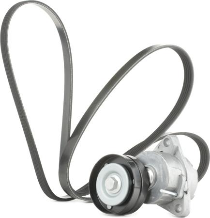 RIDEX 542R0319 - Jeu de courroies trapézoïdales à nervures droxauto.com