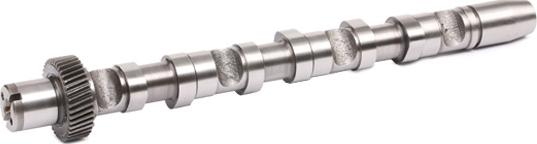 RIDEX 566C0023 - Arbre à came droxauto.com