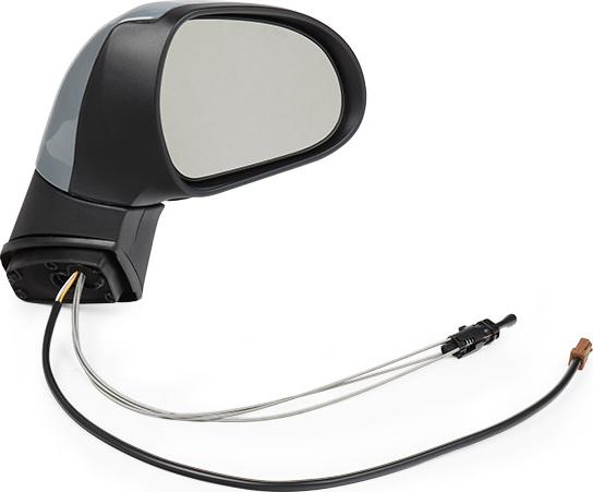 RIDEX 50O0066 - Rétroviseur extérieur droxauto.com