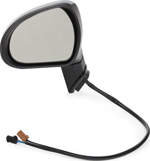 RIDEX 50O0117 - Rétroviseur extérieur droxauto.com