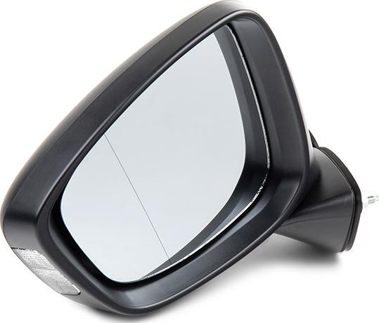RIDEX 50O0894 - Rétroviseur extérieur droxauto.com